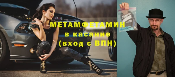 крисы Бородино