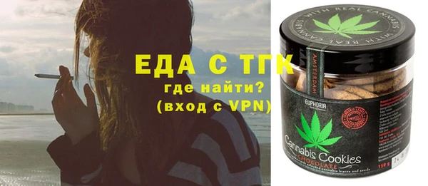 крисы Бородино