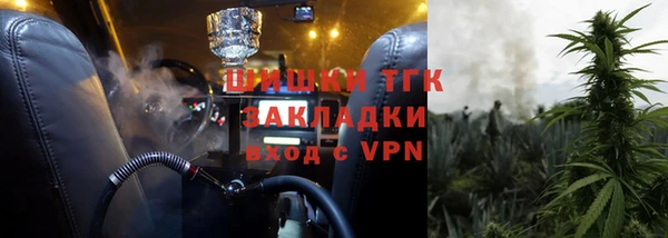 шишки Бронницы