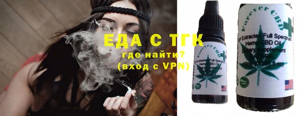 крисы Бородино