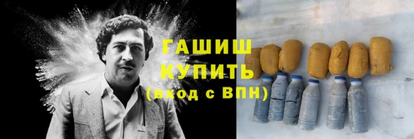 крисы Бородино