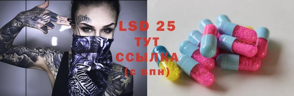 крисы Бородино