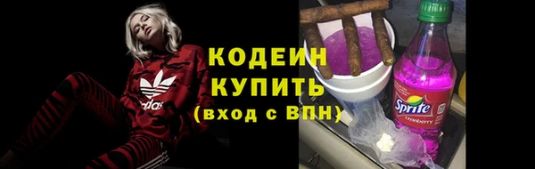 шишки Бронницы