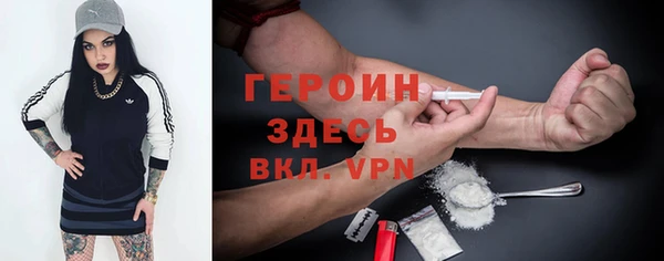 крисы Бородино