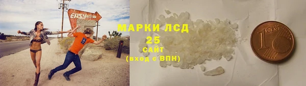 крисы Бородино