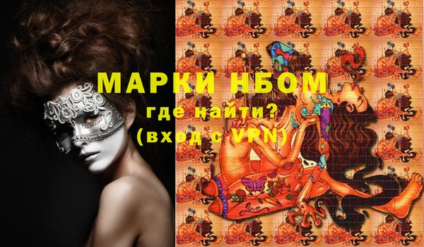 крисы Бородино