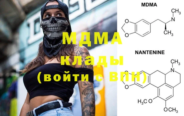 крисы Бородино