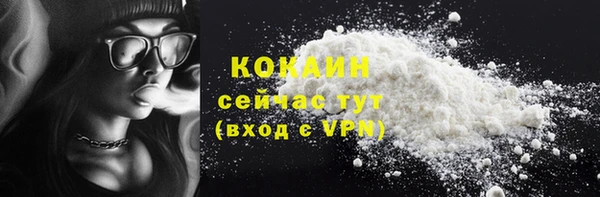 крисы Бородино