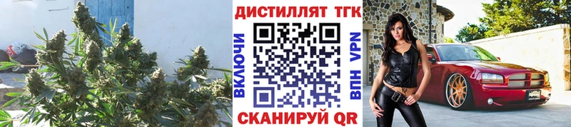 наркотики  Заводоуковск  Дистиллят ТГК THC oil 