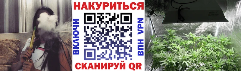 закладка  Заводоуковск  Шишки марихуана OG Kush 